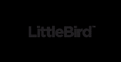 GoLittleBird logo firework littlebird littlebirdlogo GIF