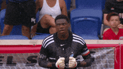 Excited Sean Johnson GIF by NYCFC