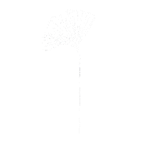 Ginkgo Sticker by Stereo Productions