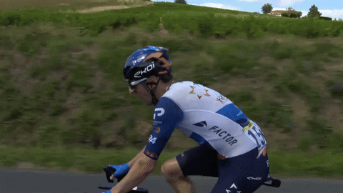 Woods Wow GIF by Amaury Sport Organisation