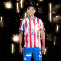 Fifa World Cup Paraguay GIF by Respective