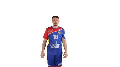 National Team Sport Sticker by Rushandball