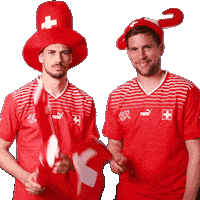 Switzerland Suisse Sticker by Swiss Football Association