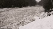 GIF by Demic