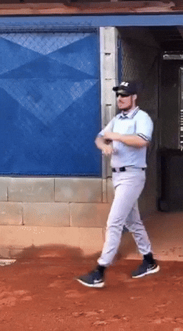 Umpire GIF