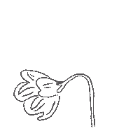 absolutely_gutted flower nostalgic absolutelygutted ageingflower Sticker