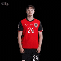 Fifa World Cup Austria GIF by Respective