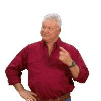 Renovate Channel 9 Sticker by The Block