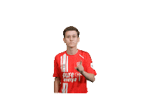 Fc Twente Football Sticker by eDivisie
