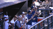hawk sox GIF by MLB