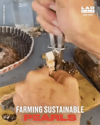 yj_jane giphygifmaker GIF
