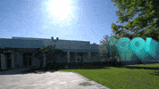 Staysafe GIF by STUMiami