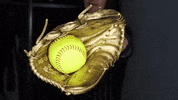 College Athletics Happy Dance GIF by USAO Drovers