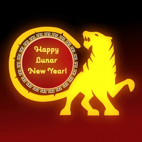 Celebrate New Year GIF by Rochester Institute of Technology