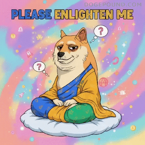Shiba Inu What GIF by Doge Pound