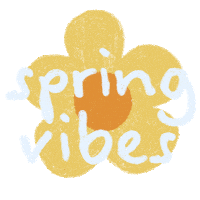 ilaria_angioi flower yellow spring springvibes Sticker