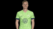 Check This Out Look Here GIF by VfL Wolfsburg