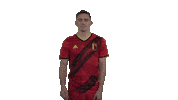 Rode Duivels Belgium Sticker by Royal Belgian FA
