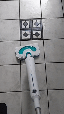 Steam Cleaning GIF