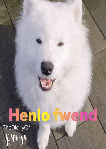 Ola Hello GIF