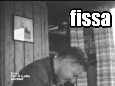 Party Dancing GIF by Fries Film & Audio Archief