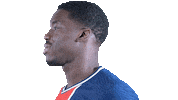 France What Sticker by Paris Saint-Germain Handball