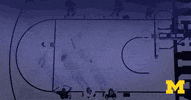 GIF by Michigan Athletics