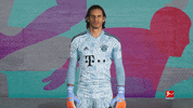Bayern Sommer GIF by Bundesliga