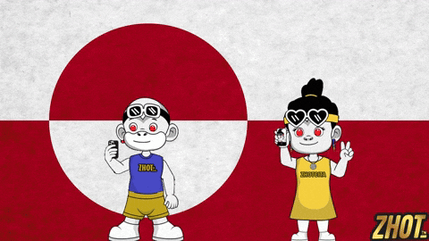 Northern Lights Flag GIF by Zhotcita