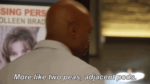 fox tv GIF by Rosewood