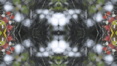 Art Love GIF by jorgemariozuleta