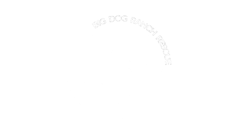Rescue Dogs Sticker by Big Dog Ranch Rescue