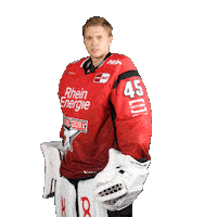 Hockey Nhl Sticker by Koelner Haie
