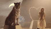 Because I Liked A Boy GIF by Sabrina Carpenter