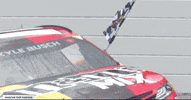 Sport Racing GIF by NASCAR