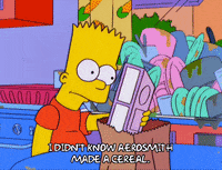 bart simpson episode 10 GIF