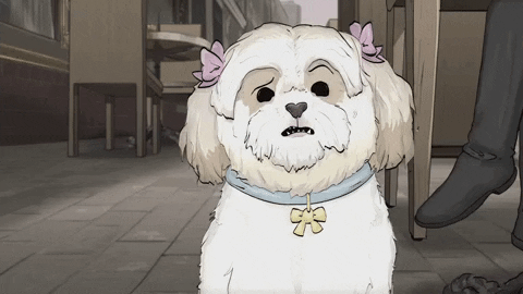 season 1 cats GIF by Animals