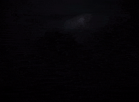 Walt Disney GIF