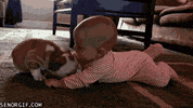 cuddle GIF