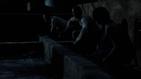 michael scofield fox GIF by Prison Break