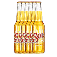 Sun Weekend Sticker by Sol Beer