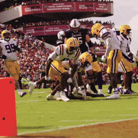 College Football GIF by LSU Tigers