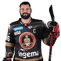 tiposshl sport hockey captain hokej Sticker