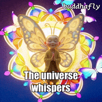 Joy Peace GIF by BuddhaFlyJourney