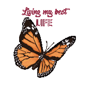 Happy Life Sticker