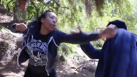 TiffyStunts giphygifmaker fight wow action GIF