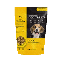 Dogs Puppy Sticker by Foley Dog Treat Company