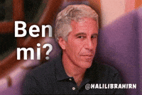 Jeffrey Epstein Trump GIF