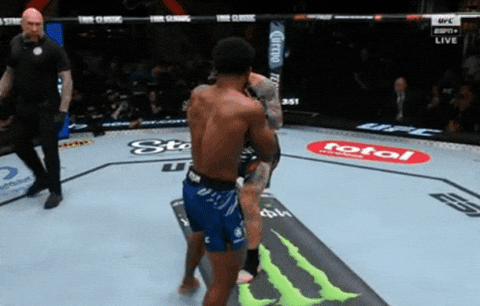 giphy.gif
