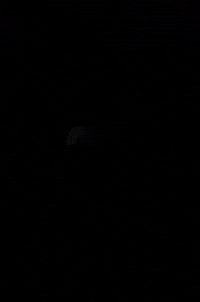 Fire Sun GIF by Jean Scuderi